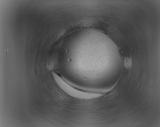 X0000067531155200604211836