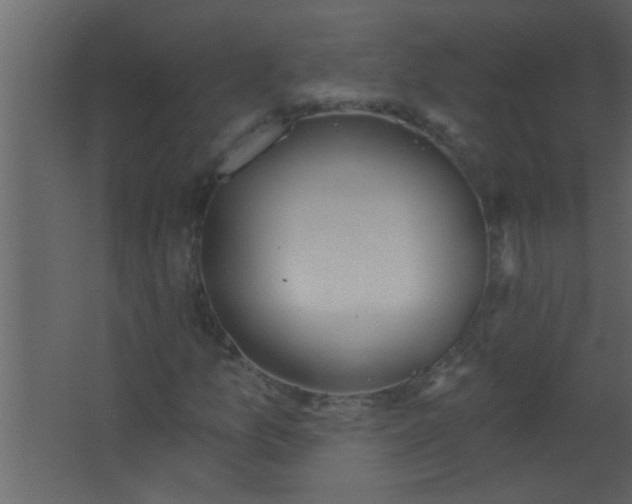 X0000067531157200604211836