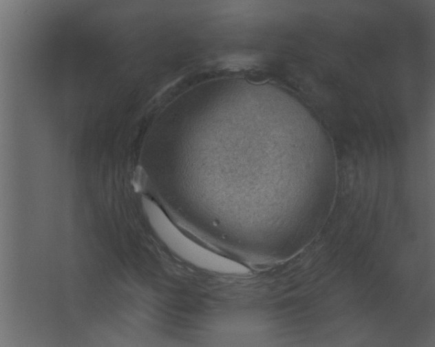 X0000067531158200604211836