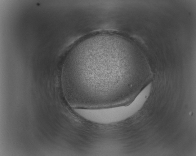 X0000067531159200604211836