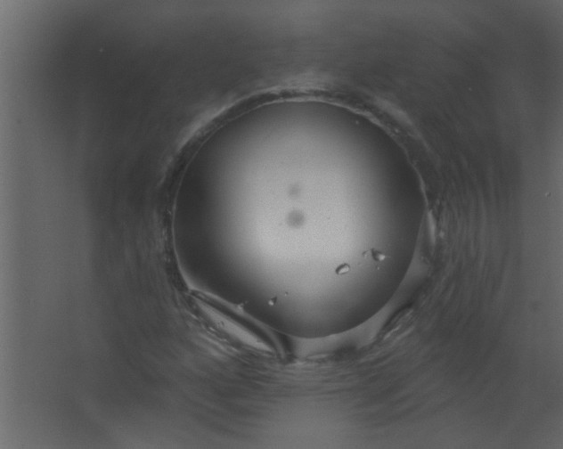 X0000067531160200604211836