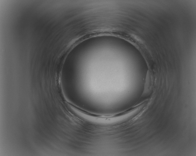 X0000067531161200604211836