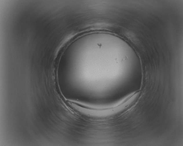 X0000067531164200604211836