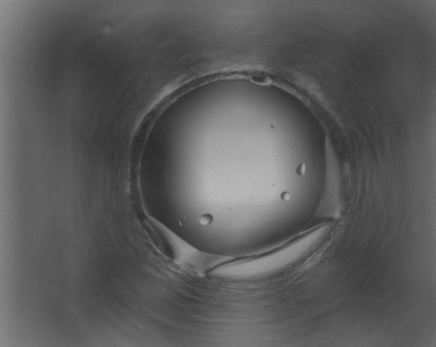 X0000067531165200604211836