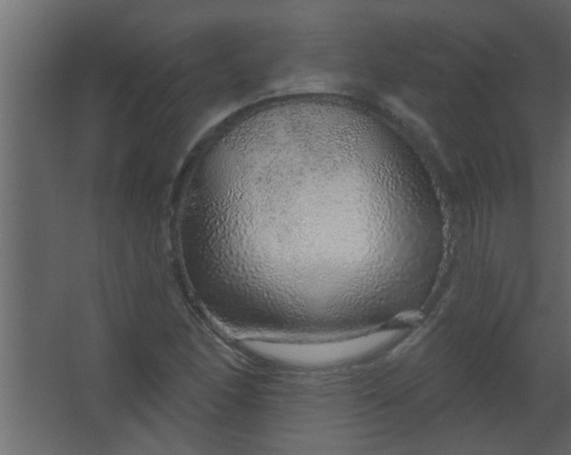 X0000067531166200604211836