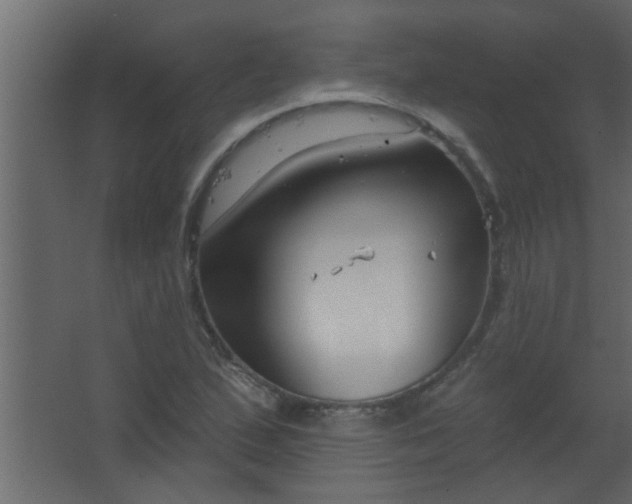 X0000067531167200604211836