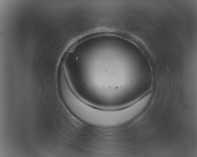 X0000067531168200604211836