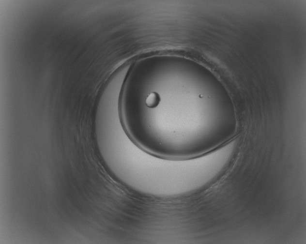 X0000067531169200604211836