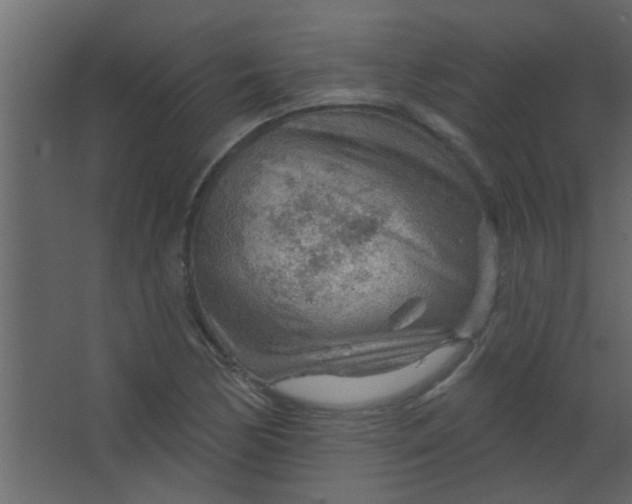 X0000067531170200604211836