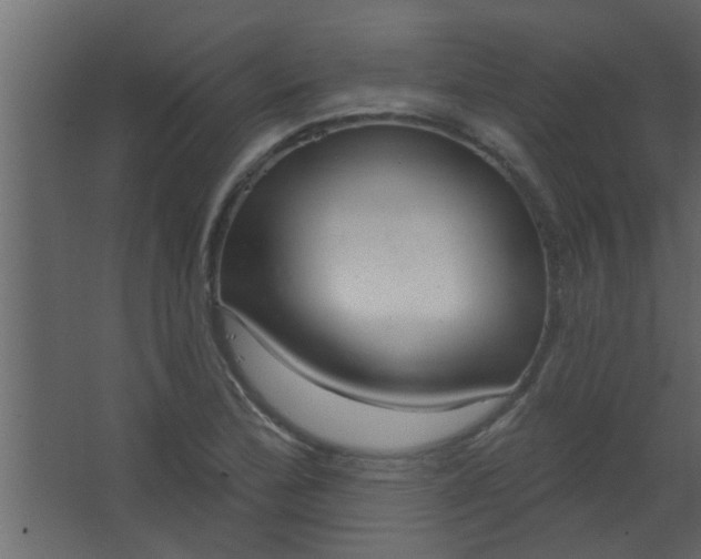 X0000067531172200604211836