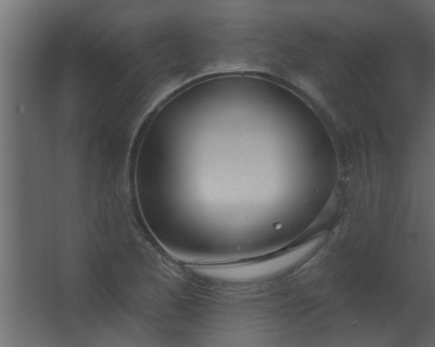 X0000067531173200604211836