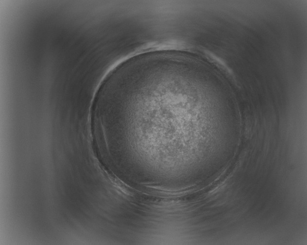 X0000067531174200604211836