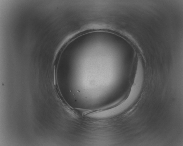 X0000067531175200604211836