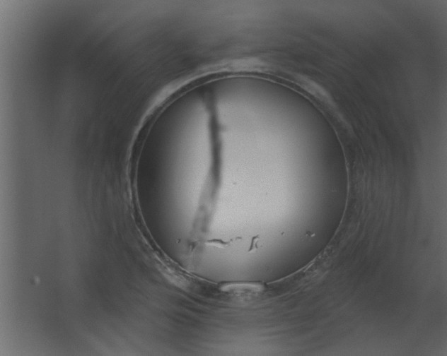 X0000067531176200604211836