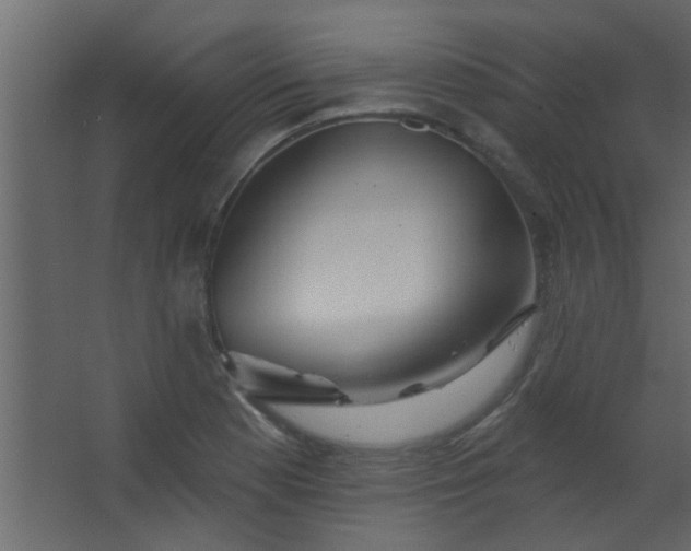 X0000067531177200604211836