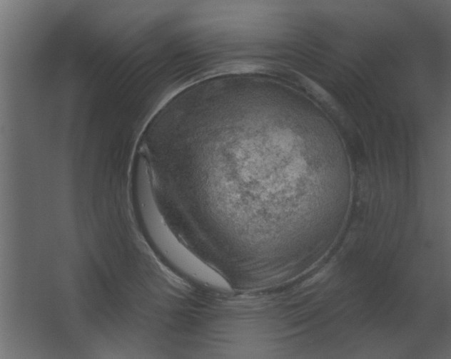 X0000067531178200604211836