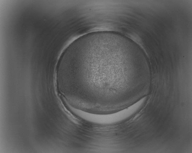 X0000067531179200604211836