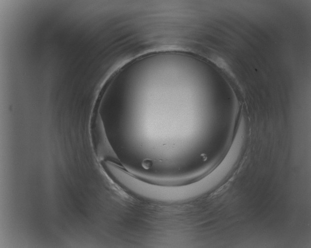 X0000067531181200604211836