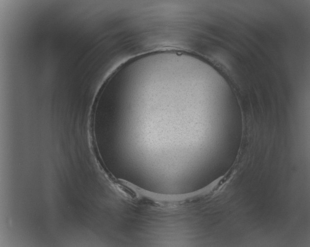 X0000067531182200604211836