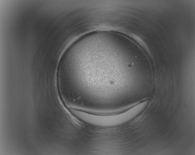 X0000067531183200604211836