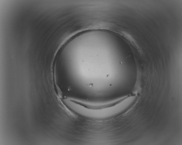 X0000067531184200604211836