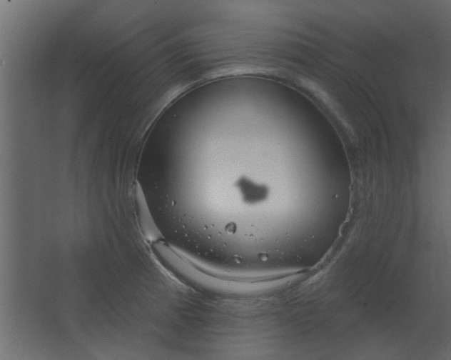 X0000067531185200604211836