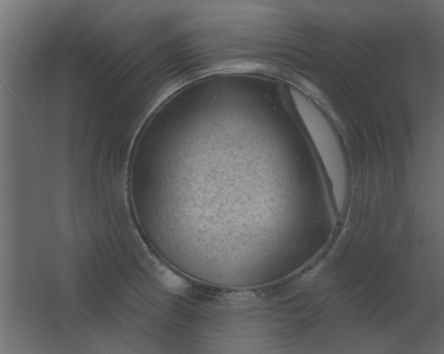 X0000067531186200604211836