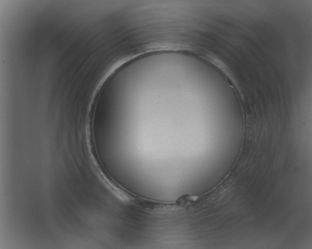 X0000067531187200604211836