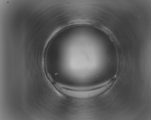 X0000067531188200604211836