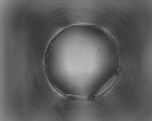 X0000067531189200604211835