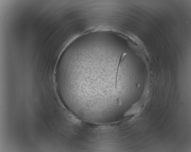 X0000067531190200604211835