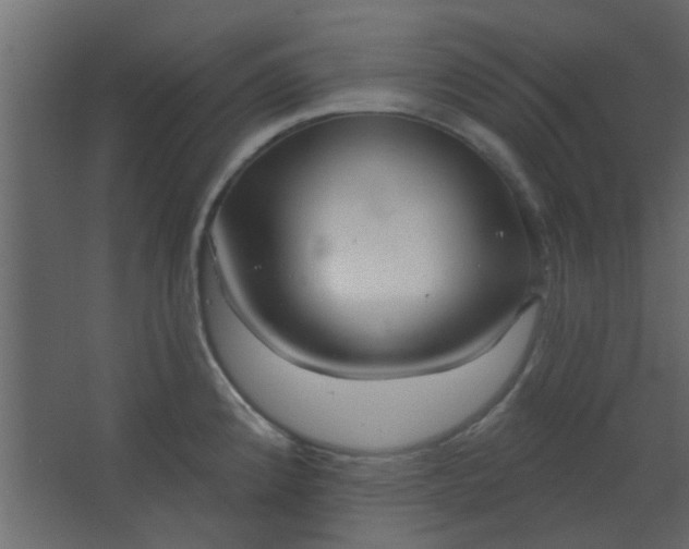 X0000067531192200604211835