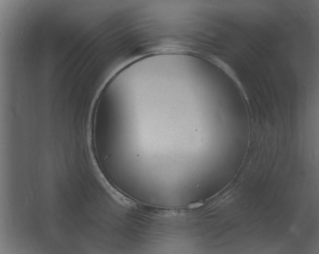 X0000067531195200604211835