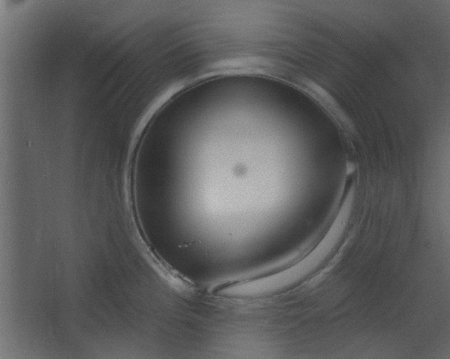 X0000067531196200604211835