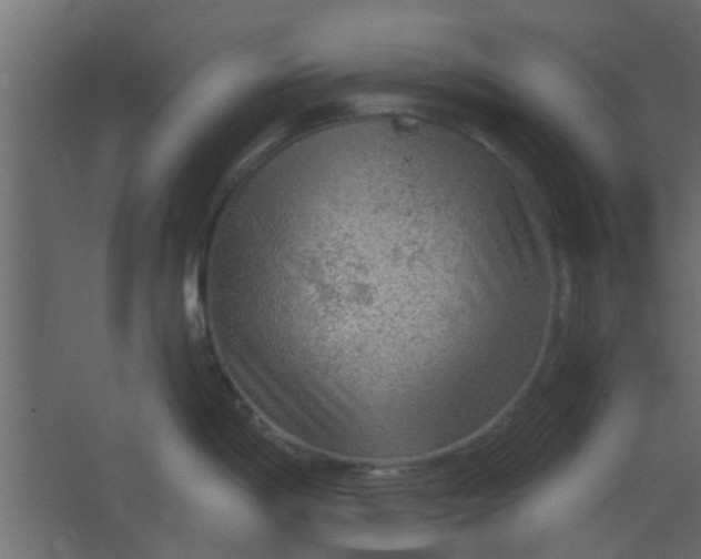 X0000067531198200604211835