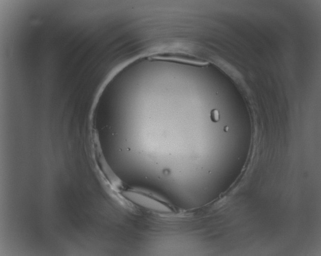 X0000067531200200604211835