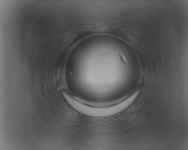 X0000067531202200604211835