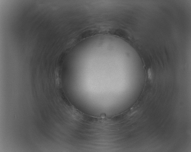 X0000067531203200604211835