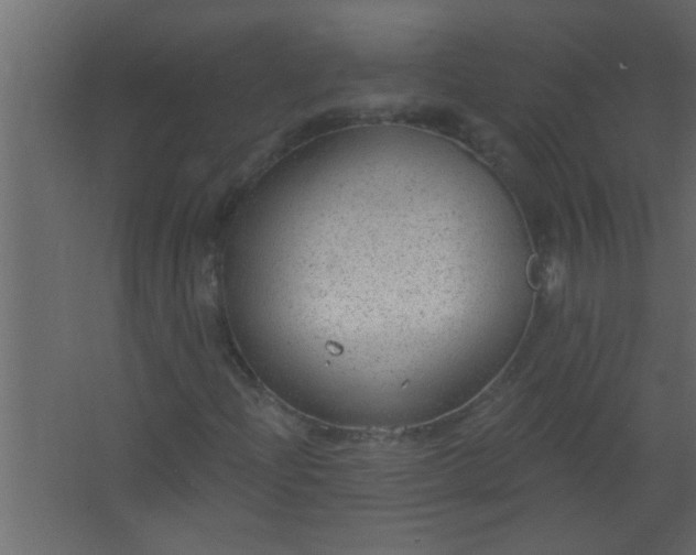 X0000067531204200604211835