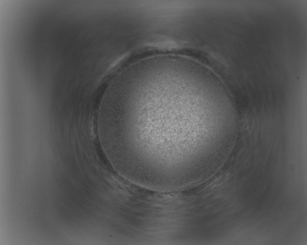 X0000067531205200604211835