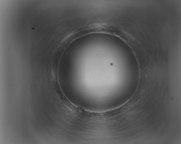 X0000067531206200604211835