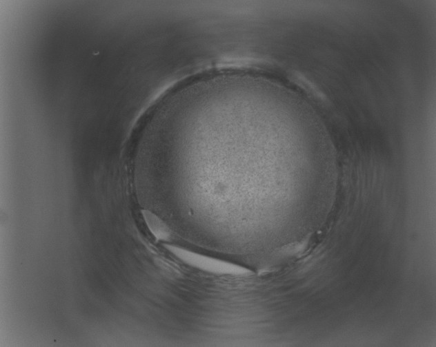 X0000067531208200604211835