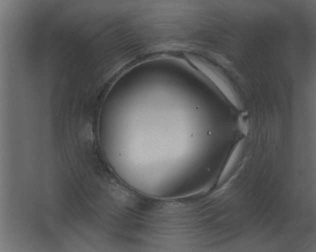 X0000067531209200604211835