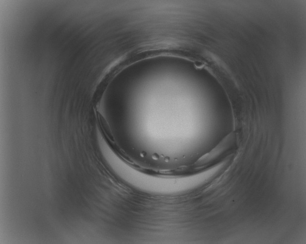 X0000067531210200604211835