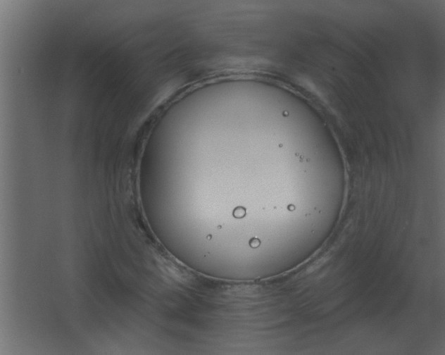 X0000067531211200604211835