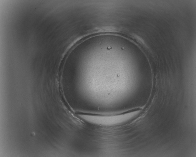 X0000067531212200604211835