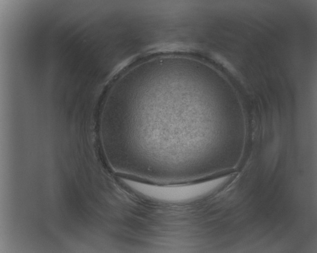 X0000067531213200604211835