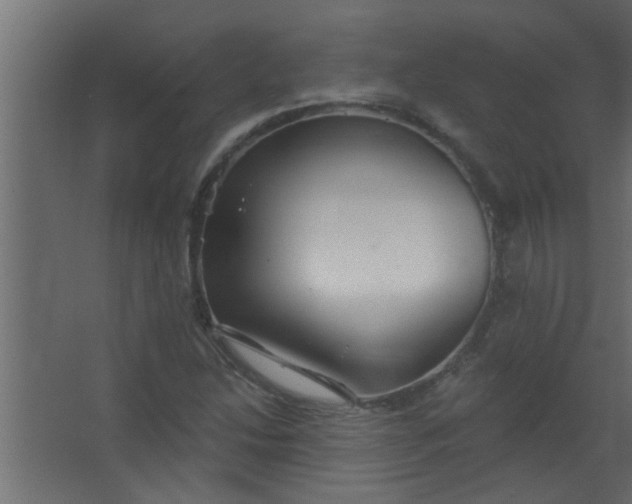 X0000067531214200604211835