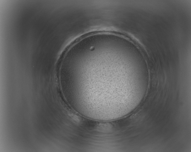 X0000067531215200604211835