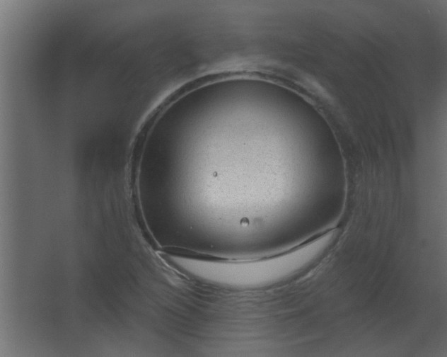 X0000067531216200604211835